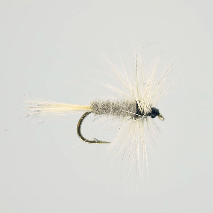 GREY DUSTER
