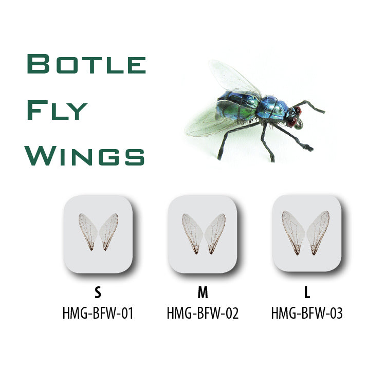 Bottle Fly Wings