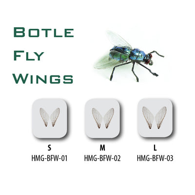 Bottle Fly Wings