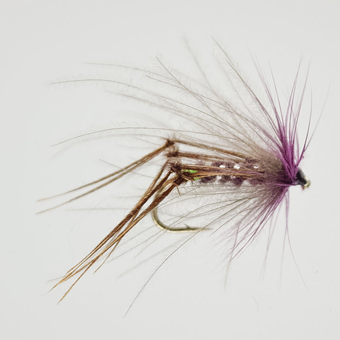 CLARET BRISTOL HOPPER CDC