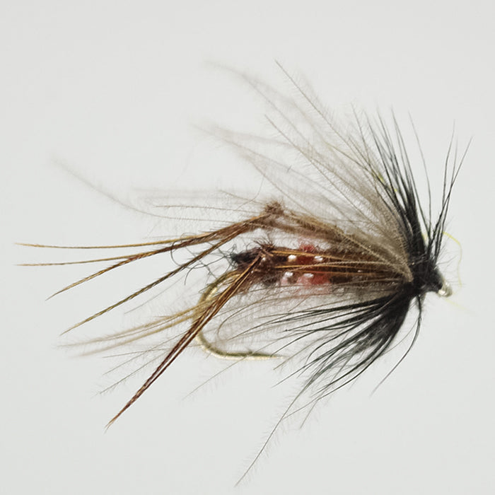 BIBIO BRISTOL HOPPER CDC