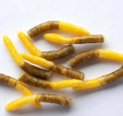 Hopper Tube Bodies