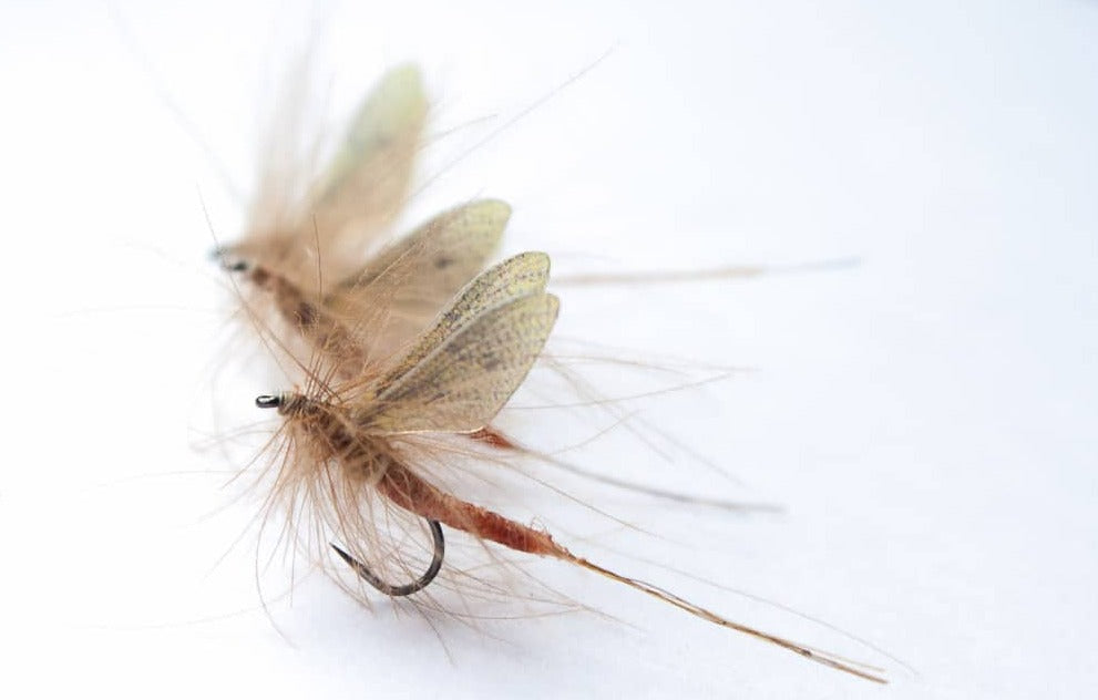 Mayfly Tube Bodies – H Turrall & Co Ltd