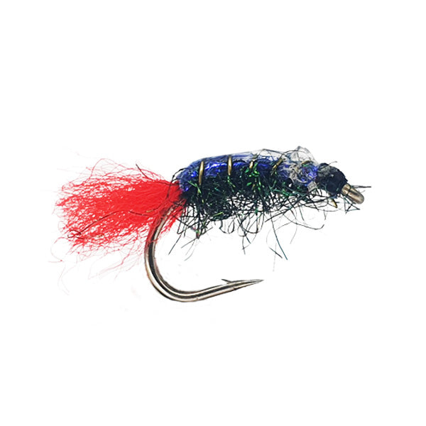 MULLET SHRIMP BLUE BACK