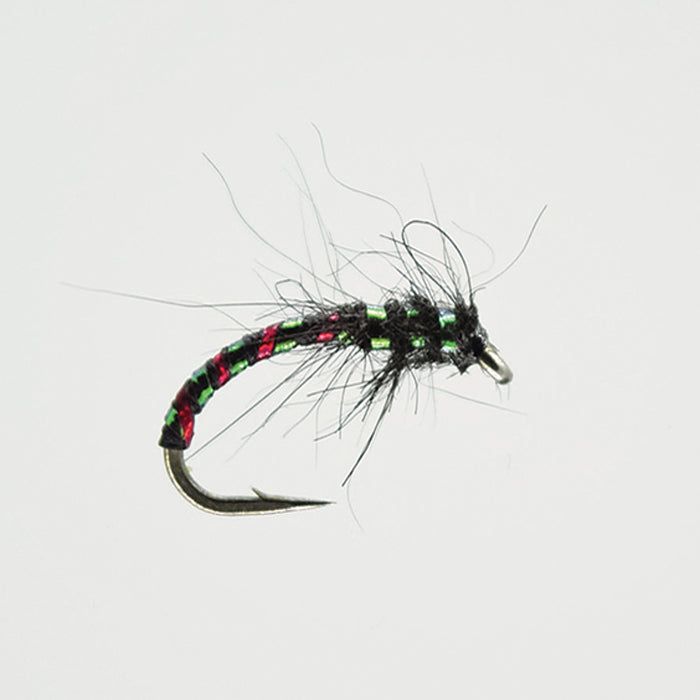 BLACK ANOREXIC BUZZER