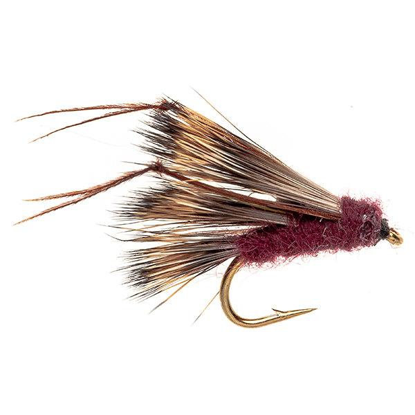 SEDGE HOG CLARET