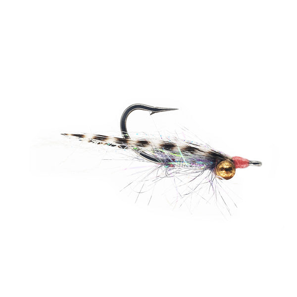 BONEFISH BAITFISH