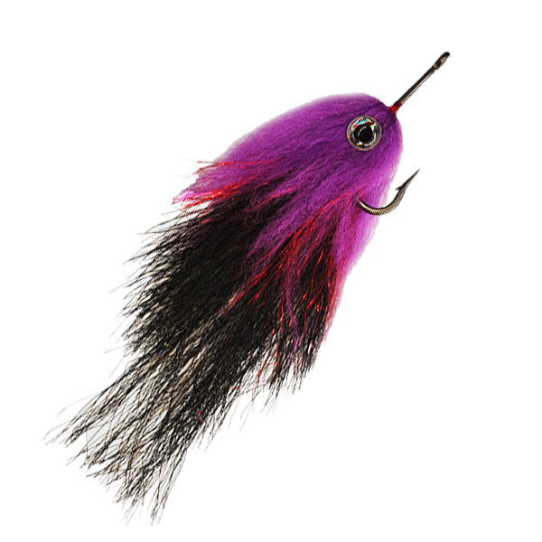 PURPLE TARPON