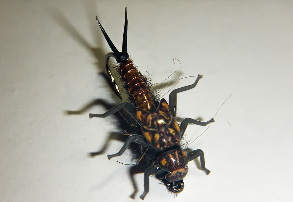 Stonefly Nymph Tails