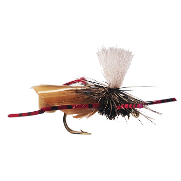 RED LEGGED HOPPER