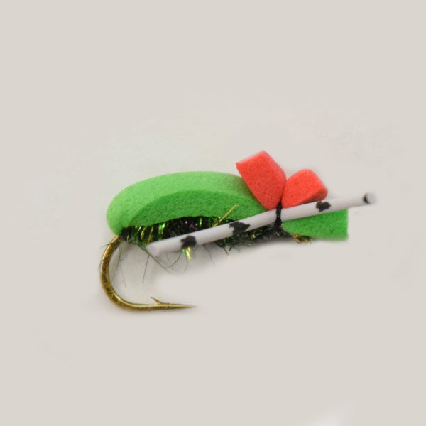GREEN FOAM BEETLE