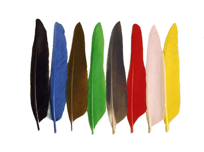 DUCK WING QUILLS