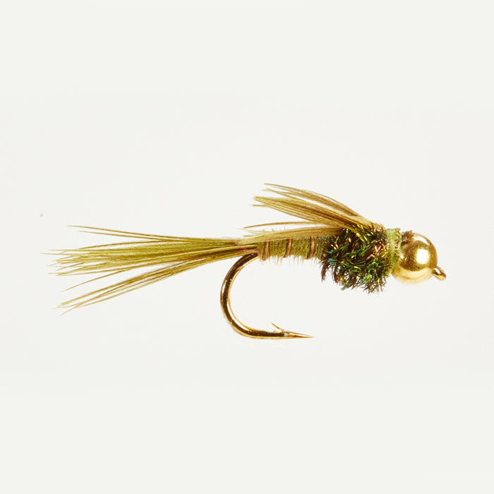 PHEASANT TAIL - Olive