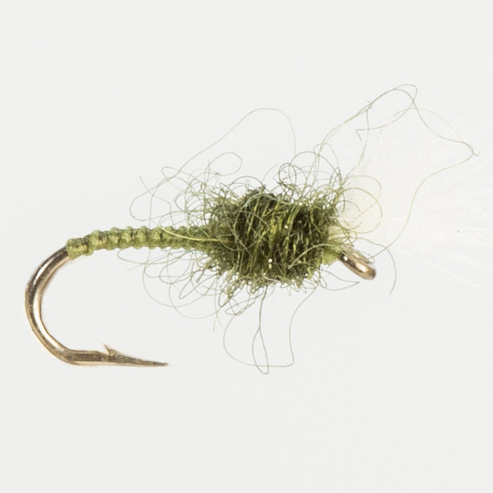CDC BUZZER OLIVE