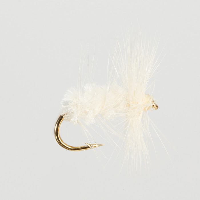 WHITE MOTH