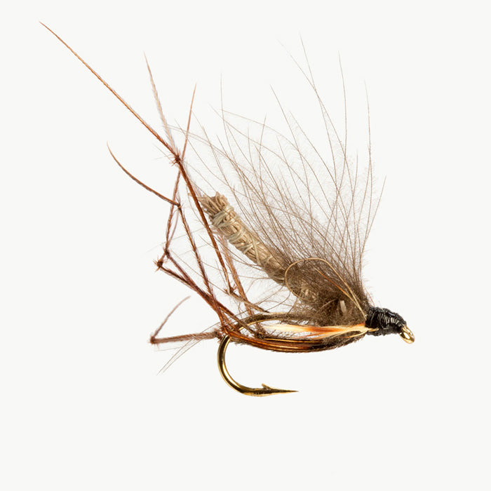 CDC DADDY LONG LEGS