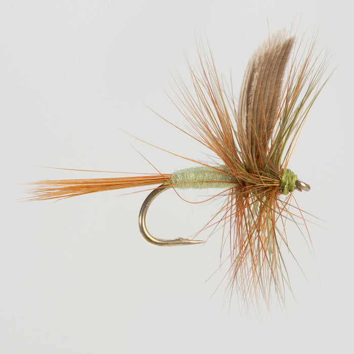 DARK OLIVE DUN