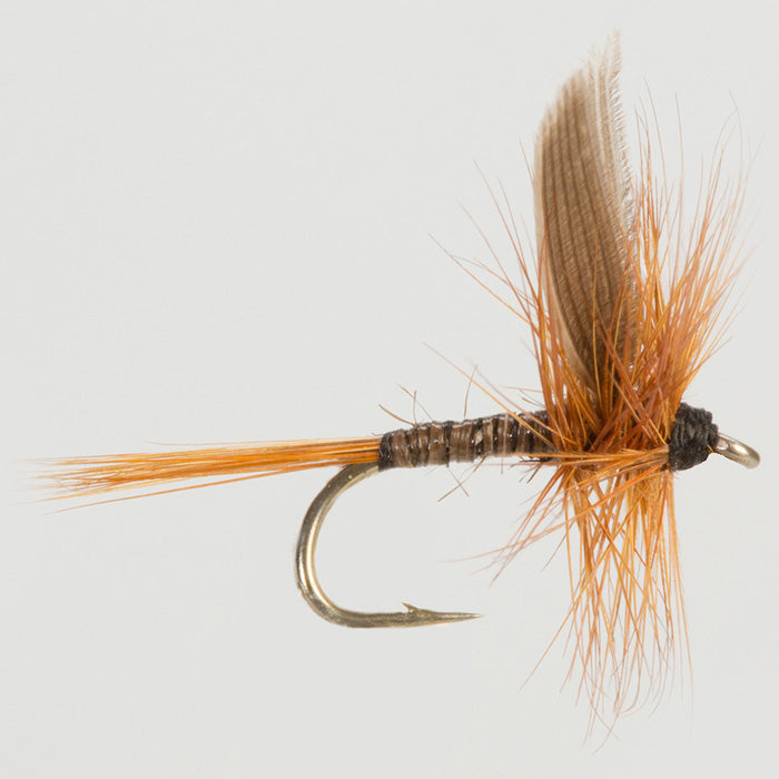 RED QUILL
