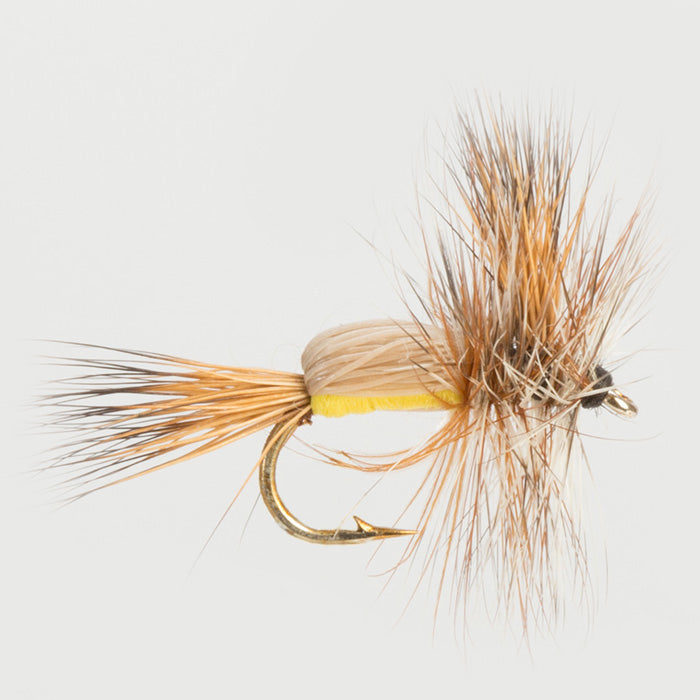 HUMPY-YELLOW