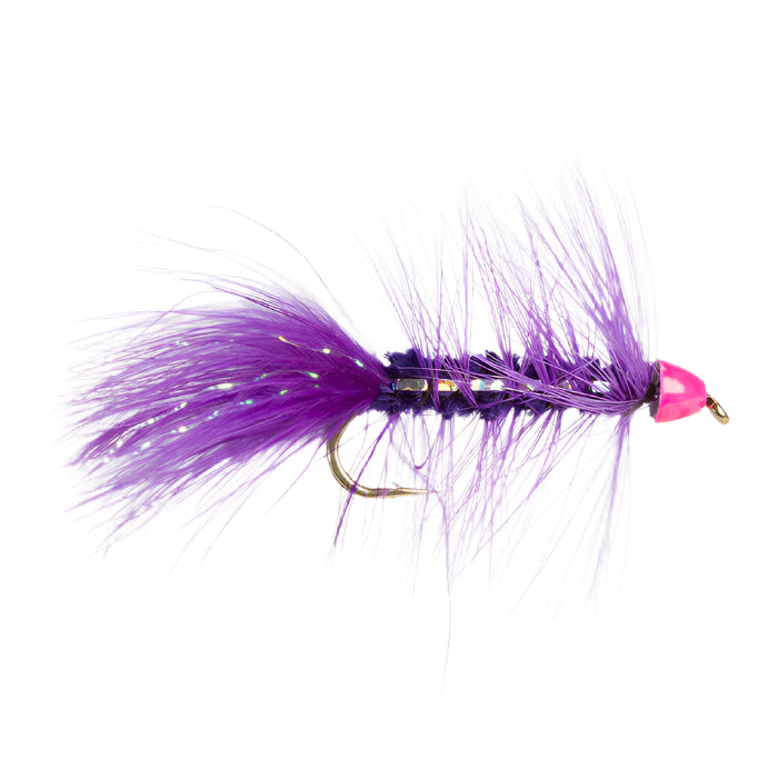 PURPLE LEECH CONEHEAD