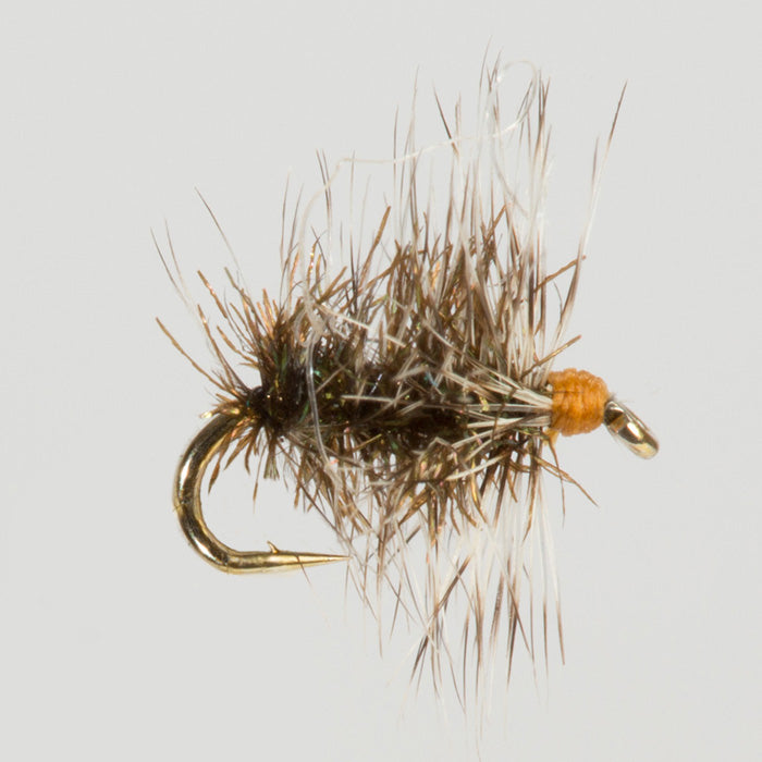 GRIFFITH'S GNAT