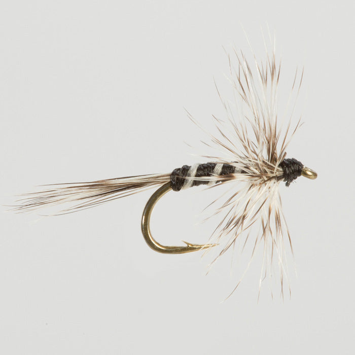 MOSQUITO