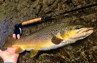COMPETITION MKII NYMPH FLY RODS