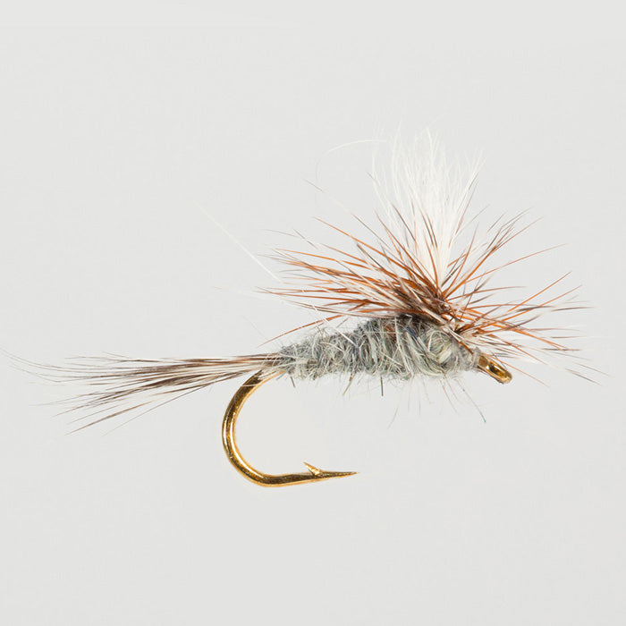ADAMS PARACHUTE