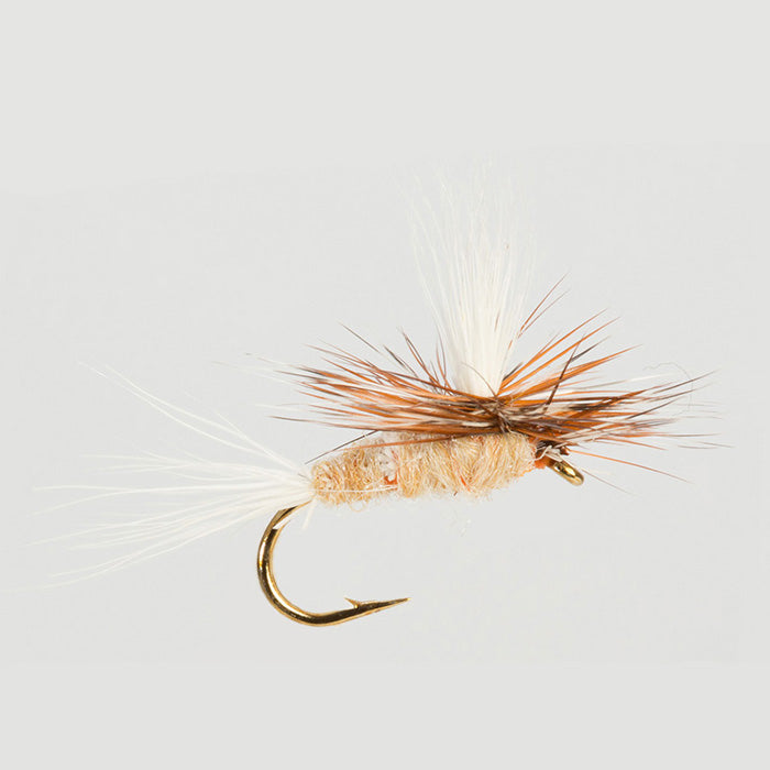 MARCH BROWN AMERICAN