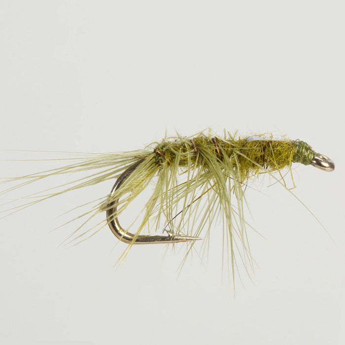 DAMSEL