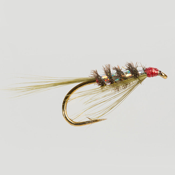 DIAWL BACH-HOLO OLIVE
