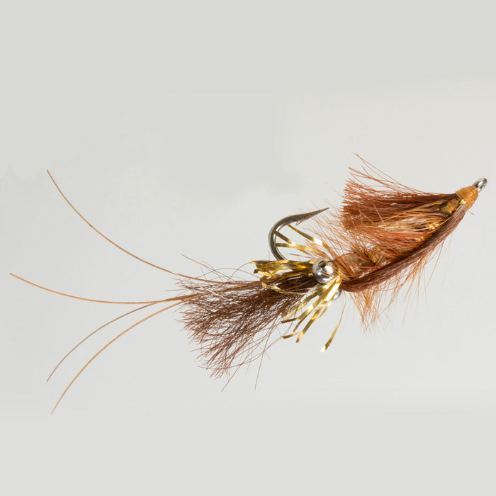 JIMS GOLD-EYE SHRIMP