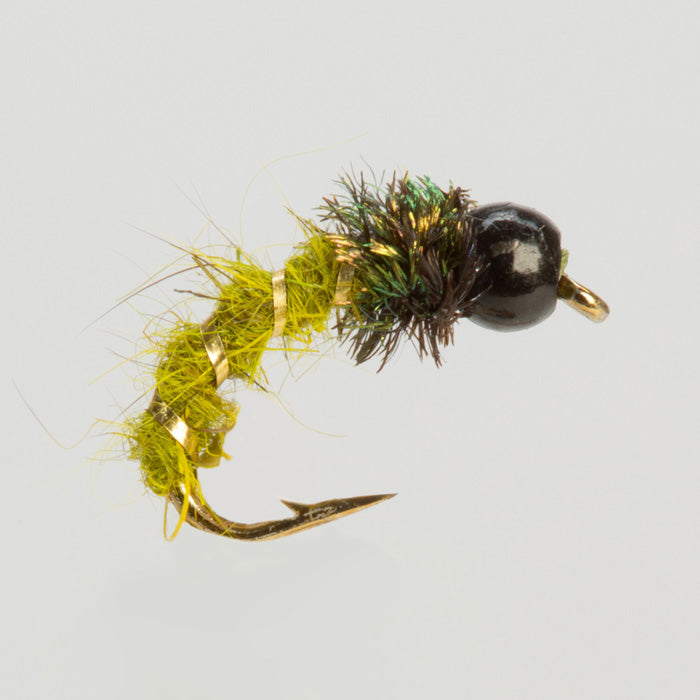 CADDIS OLIVE TUNGSTEN BEADHEAD