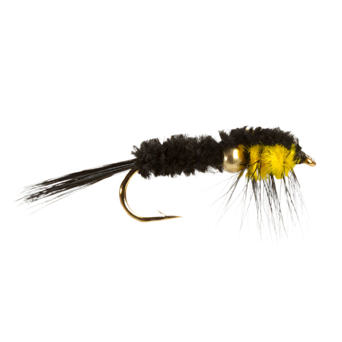 A fly fishing lure with a black and yellow body, and a fluffy, dark hackle.
