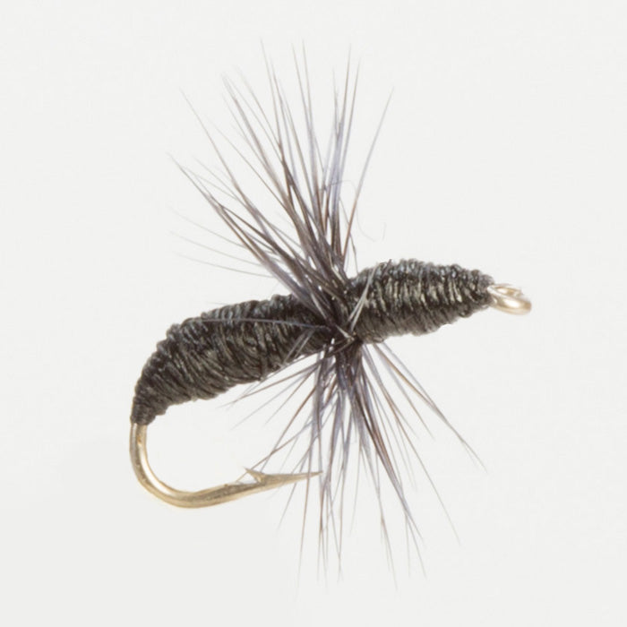 ANT BLACK DRY HACKLED