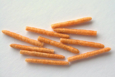 Caddis Tube Bodies