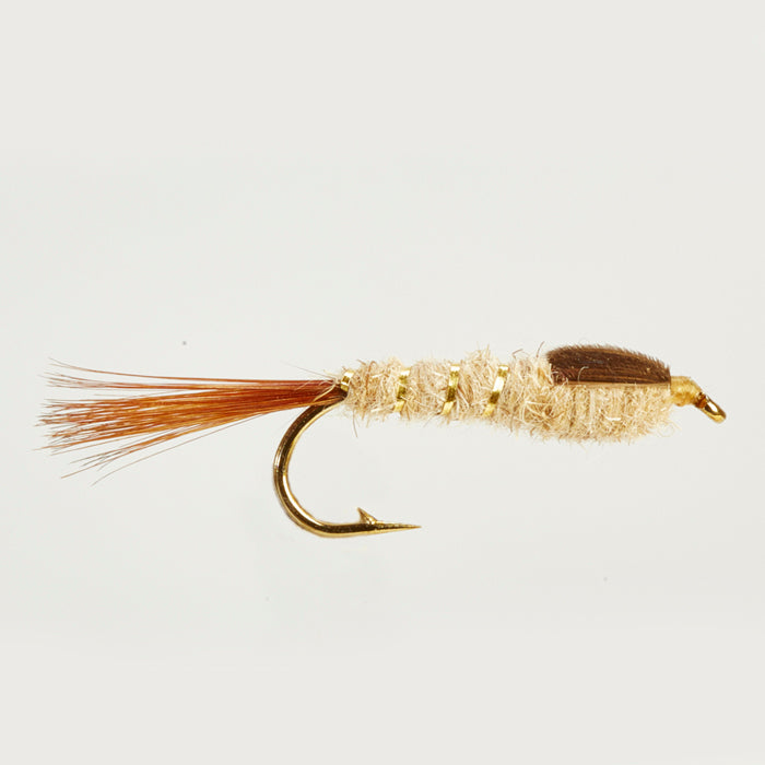 GOLD RIBBED HARE’S EAR