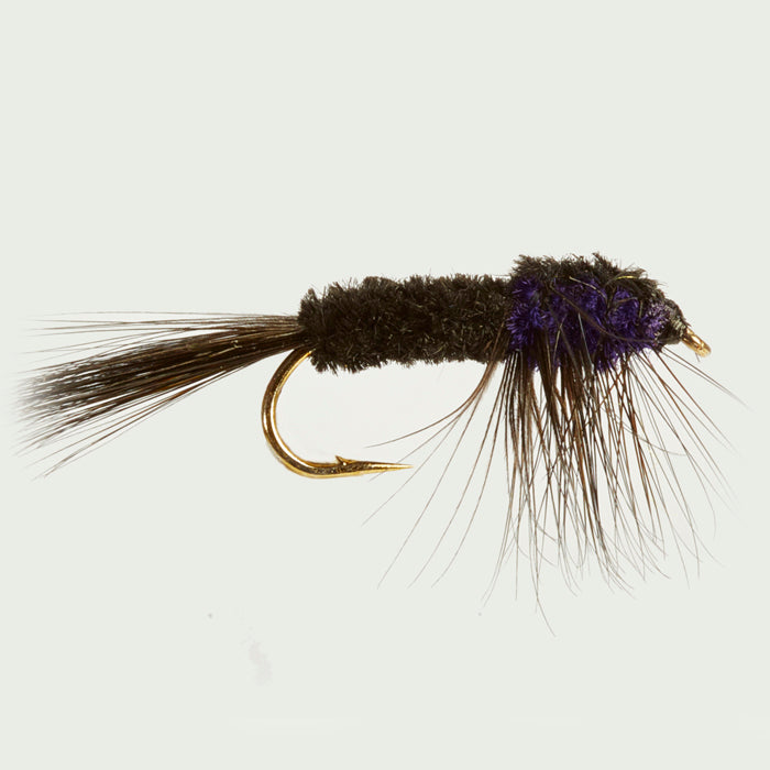 WEIGHTED MONTANA PURPLE