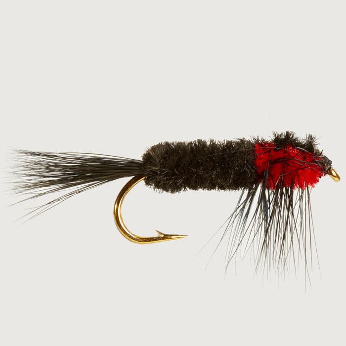 WEIGHTED MONTANA RED