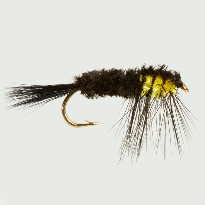 WEIGHTED MONTANA YELLOW