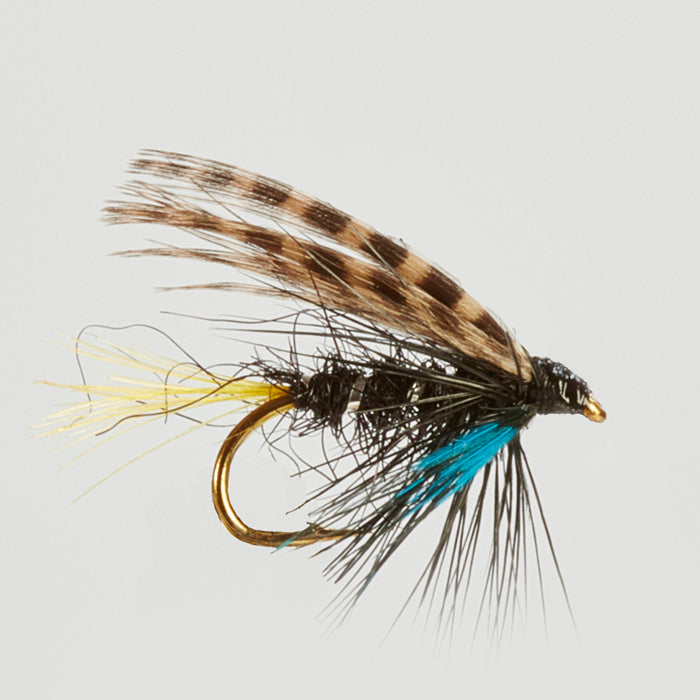 CONNEMARA BLACK