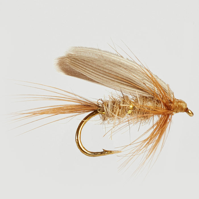 GOLD RIB HARES EAR