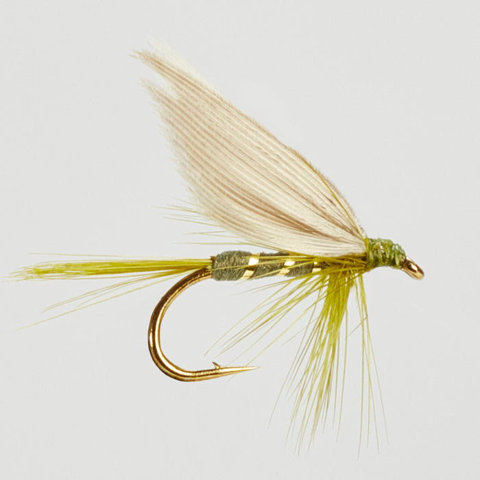 OLIVE DUN