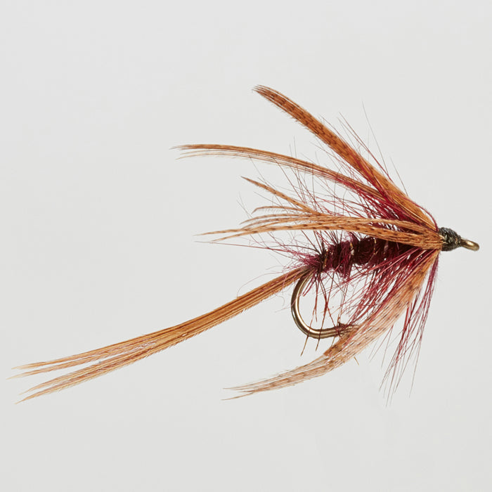 DABBLER - Claret